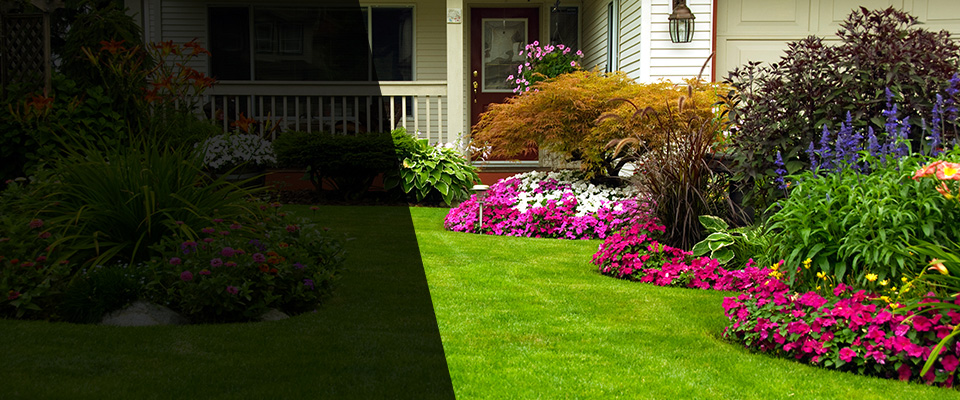 Bronxville Landscapers