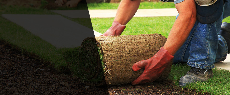 Bronxville Landscapers